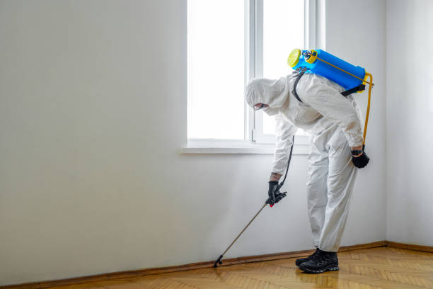 Best Real Estate Pest Inspections  in Fultonde, AL